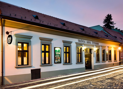 Kiemelt szolgáltató