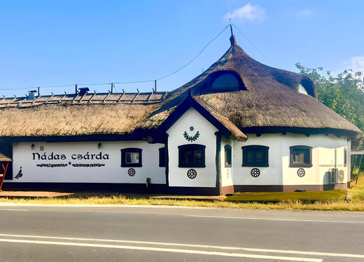 Kiemelt szolgáltató
