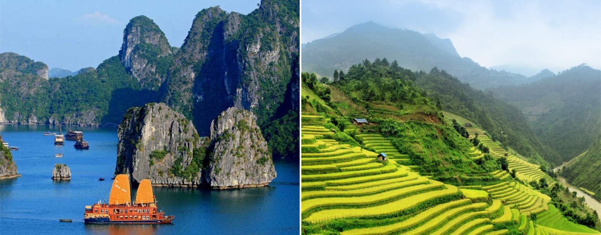 Excellent Travel