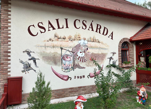 Kiemelt szolgáltató