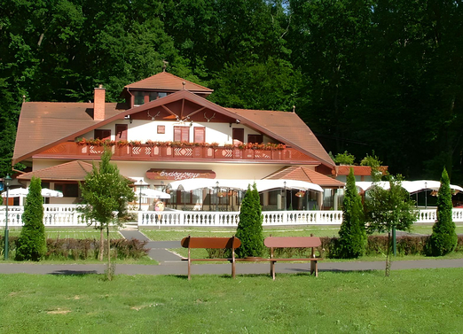 Kiemelt szolgáltató