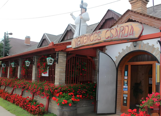 Kiemelt szolgáltató