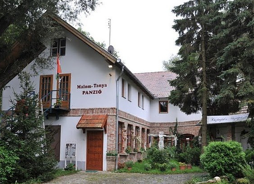 Kiemelt szolgáltató